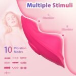 app-controlled-panty-vibrator