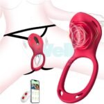 couples-rose-app-panty-vibrator